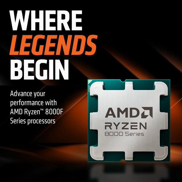 Your guide to the AMD 8000F Series Processors